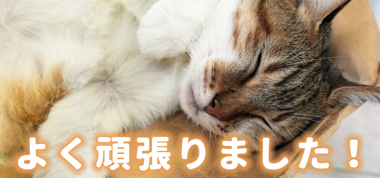 可樂貓鼓勵讀者完成日文 9 大格助詞學習